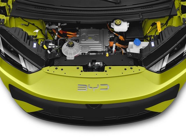 Neuf BYD DOLPHIN SURF à Lille chez BYD LILLE