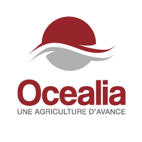 Use case : Emails, SMS, Mini-Sites