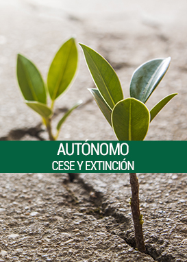 autonomo cese extincion sociedad