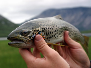 Podcast med hjerte for jakt og fiske