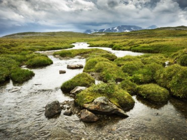 Drømmejobb i fjelltjenesten
