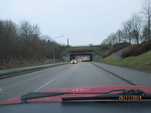 IMG_0786 IMG_0786