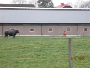 IMG_0671 IMG_0671