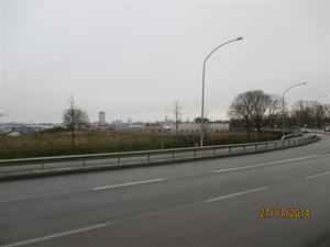 IMG_0800 IMG_0800