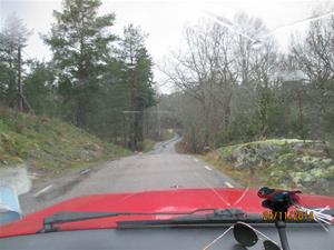 IMG_0719 IMG_0719
