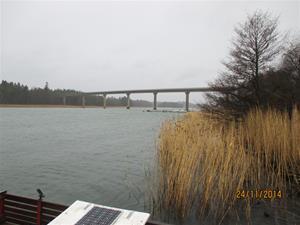 IMG_0711 IMG_0711