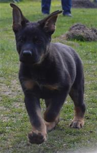 OSKA 170410 OSKA 170410