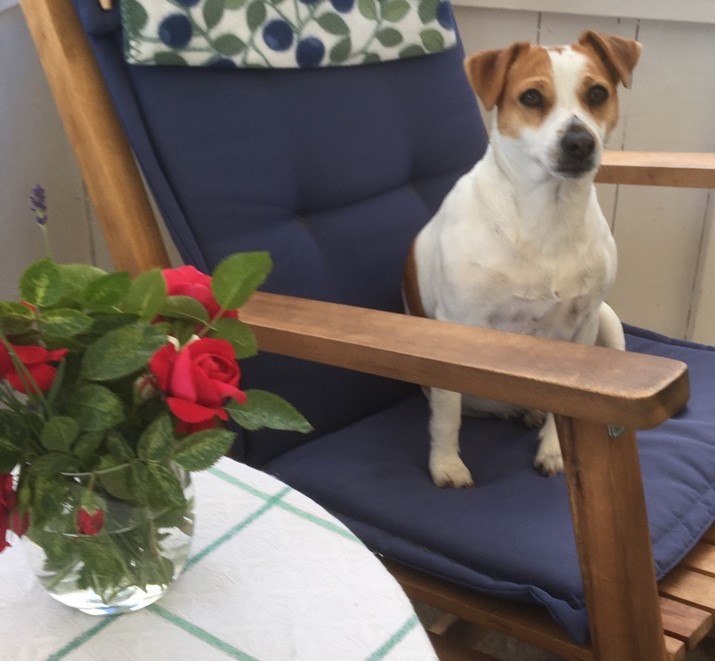 Midsommarafton 2019 Midsommarafton 2019