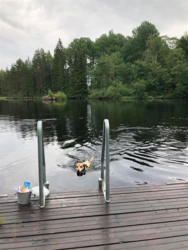 I badet I badet