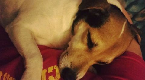 Tova sover Tova sover
