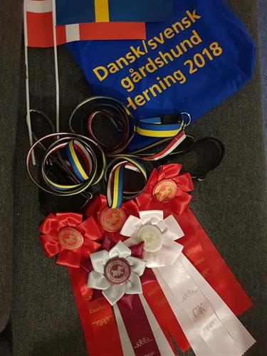 45296870_1940624172652131_8554235017109176320_n 45296870_1940624172652131_8554235017109176320_n