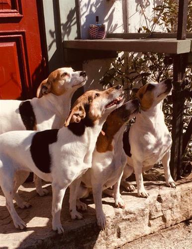 Familjebild Familjebild