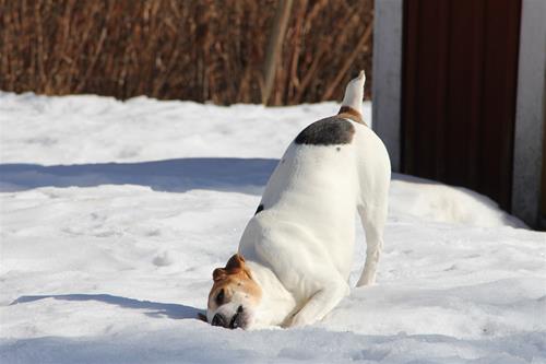 IMG_2366 IMG_2366