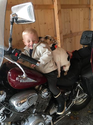 På bönpallen På bönpallen