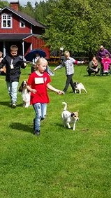 Utställning Utställning