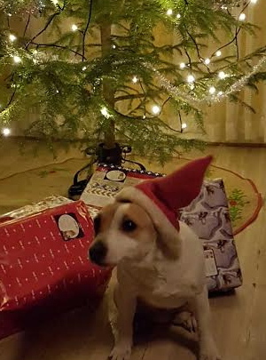 God Jul God Jul