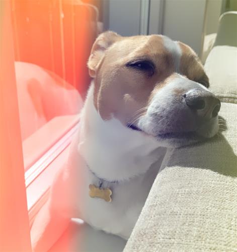 Solar Solar