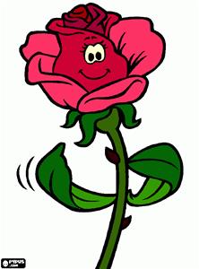 Blomma Blomma