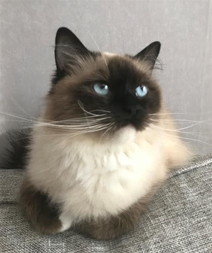 Thea 3 år Thea 3 år