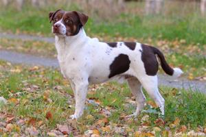 1 1 IMG_7559 1 1 IMG_7559