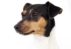 0 IMG_5649 0 IMG_5649