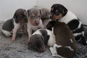 0 IMG_3737 0 IMG_3737