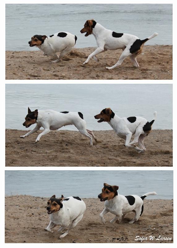 1 Blanca-Facho Collage mars 2012 1 Blanca-Facho Collage mars 2012