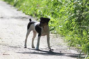 IMG_8550 IMG_8550