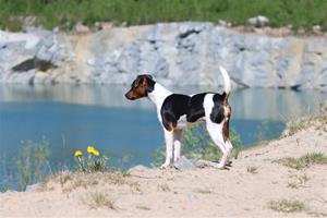 IMG_2723 IMG_2723