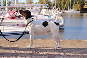 IMG_7425 IMG_7425