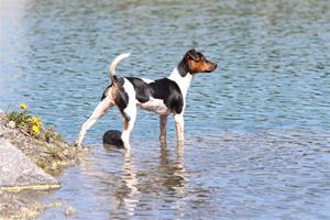 IMG_2850 IMG_2850