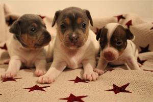 0 IMG_3114 0 IMG_3114