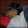 Blanca profil maj 2008 Blanca profil maj 2008