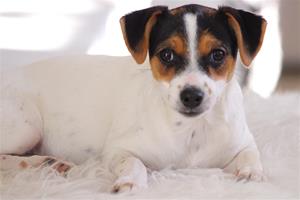 IMG_8218 IMG_8218