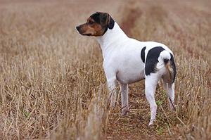 1 IMG_9603 1 IMG_9603