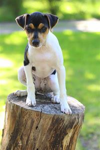 IMG_8594 IMG_8594