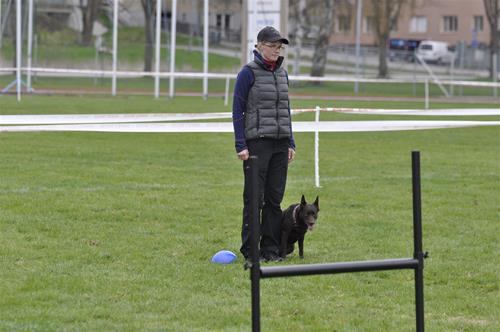 _DSC0236 _DSC0236