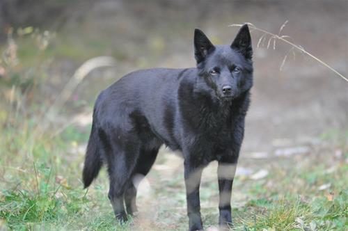 _DSC0007 _DSC0007