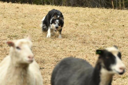 DSC_1172 DSC_1172