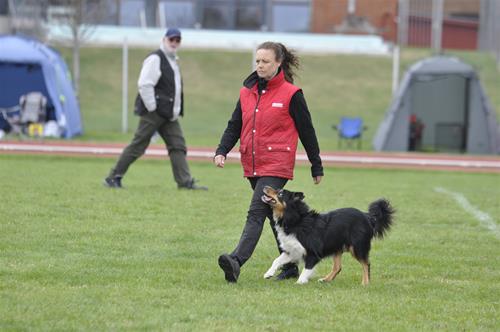 _DSC0191 _DSC0191