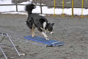 _DSC0248 _DSC0248