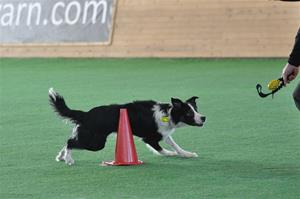 _DSC0486 _DSC0486