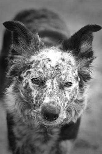 DSC_5409 DSC_5409