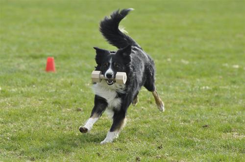_DSC0021 _DSC0021