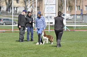_DSC0330 _DSC0330