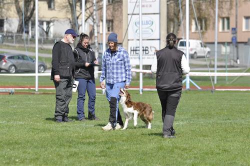 _DSC0330 _DSC0330