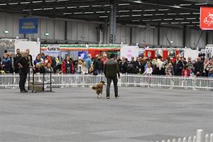 DSC_5853 DSC_5853