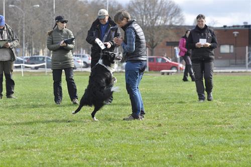 _DSC0098 _DSC0098