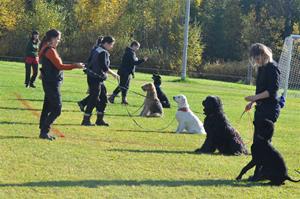 _DSC0811 _DSC0811