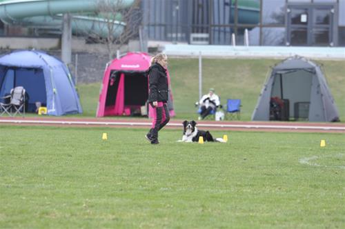 _DSC0127 _DSC0127